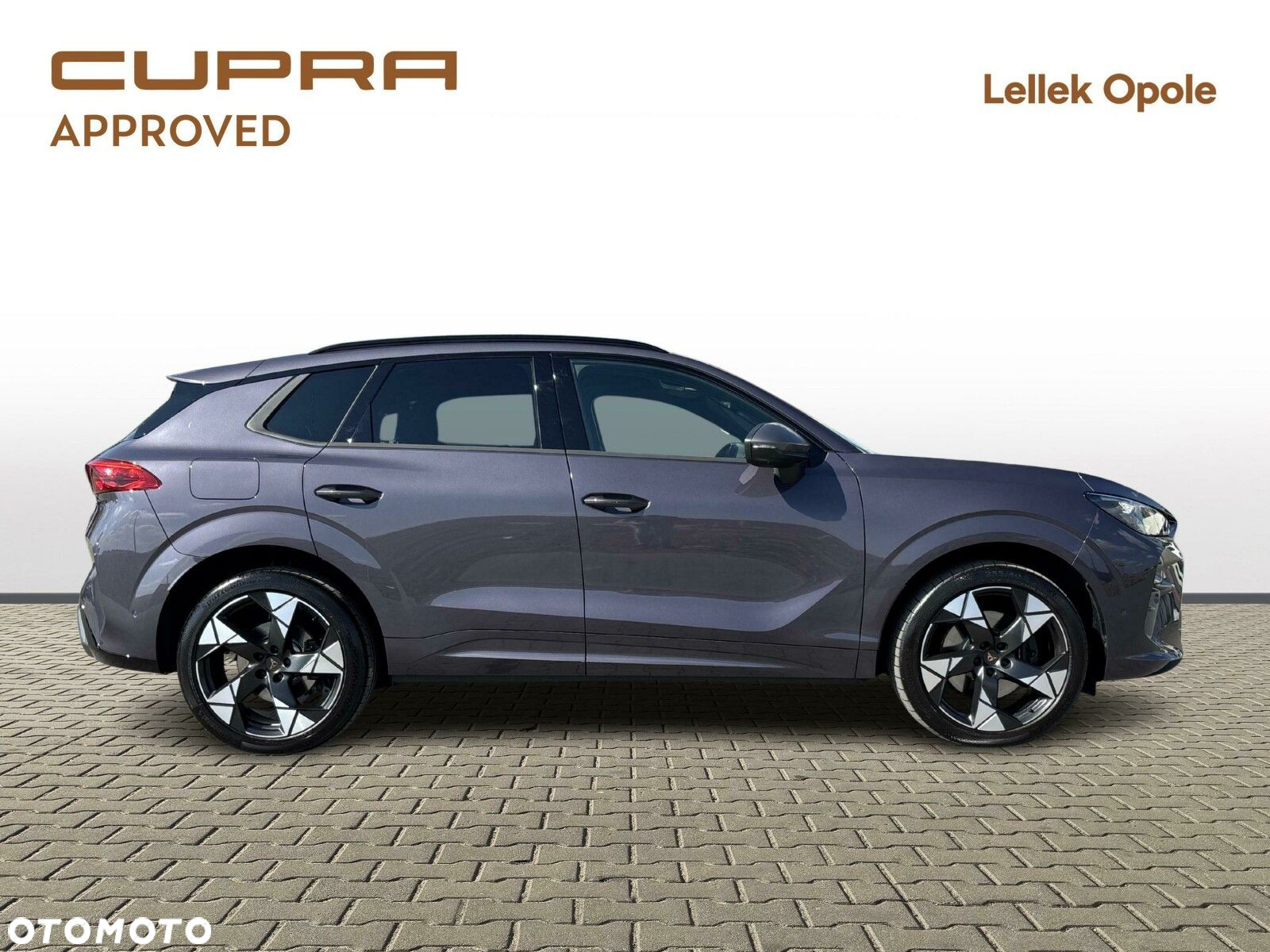 Cupra Terramar 2.0 TSI 4Drive VZ DSG - 6