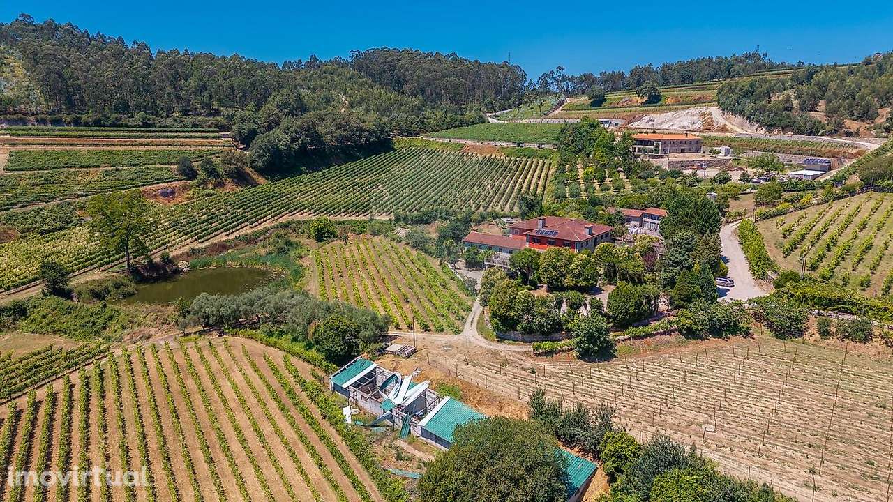 Quinta  para venda - Grande imagem: 3/50