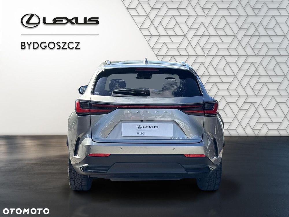 Lexus NX - 5