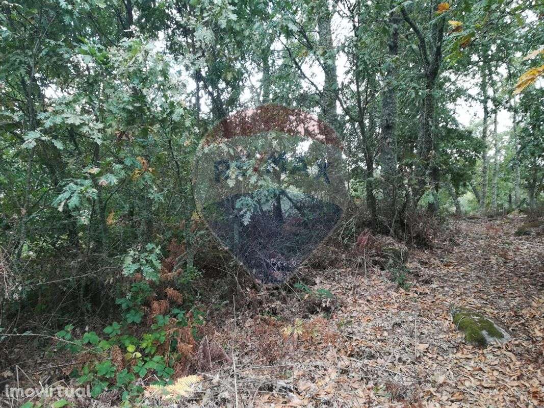 Terreno  para venda - Grande imagem: 5/5