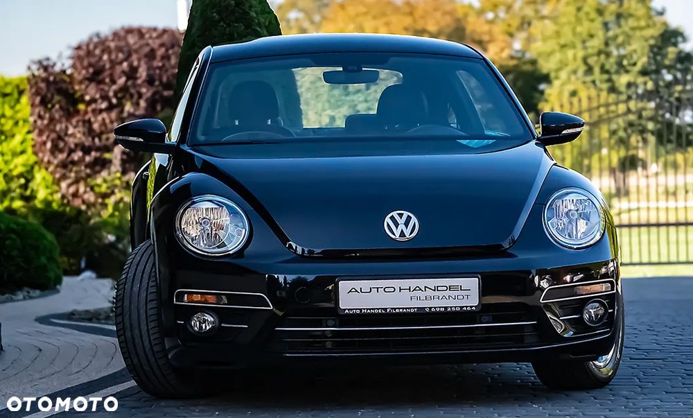 Volkswagen Beetle - 1