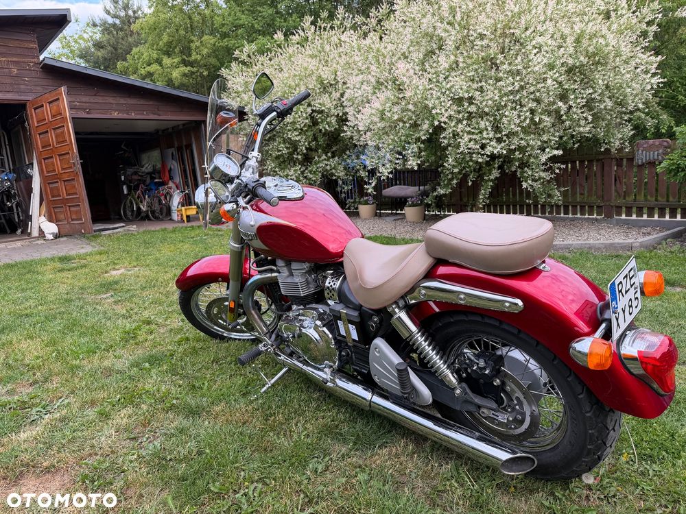 Triumph America - 4