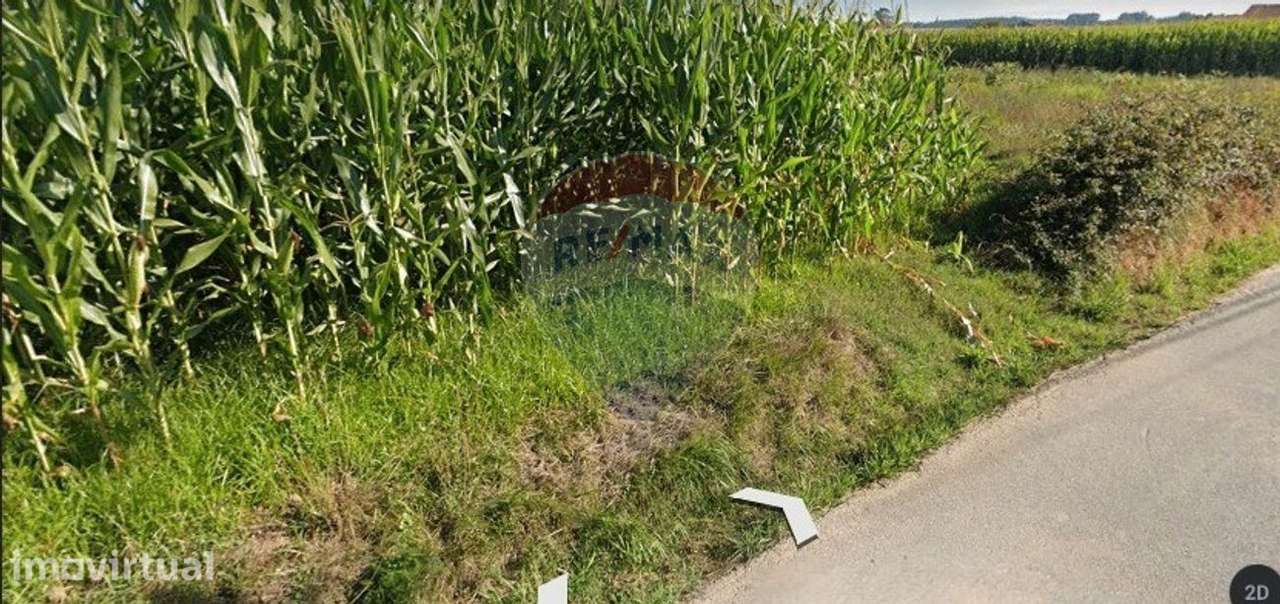 Terreno  para venda - Grande imagem: 3/4