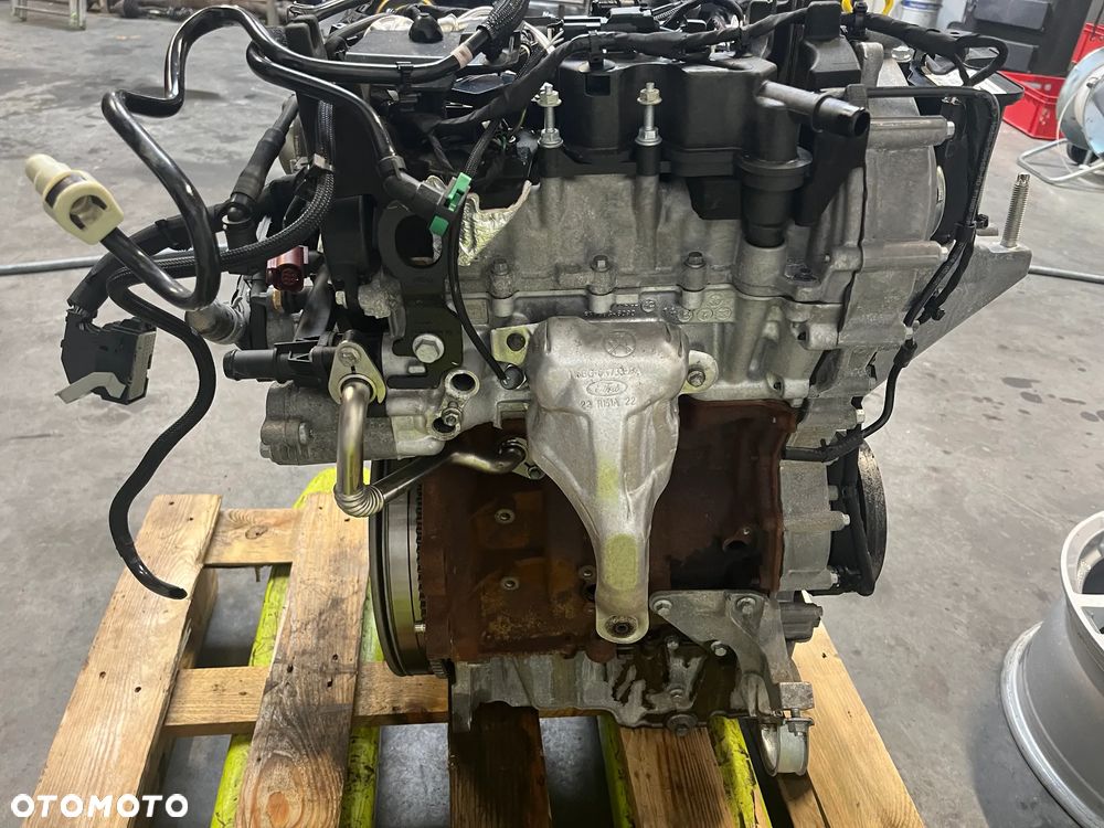 PUMA FIESTA MK8 SILNIK 1.0 ECOBOST 22R B7JB  N1BG N1BG6007AA - 9