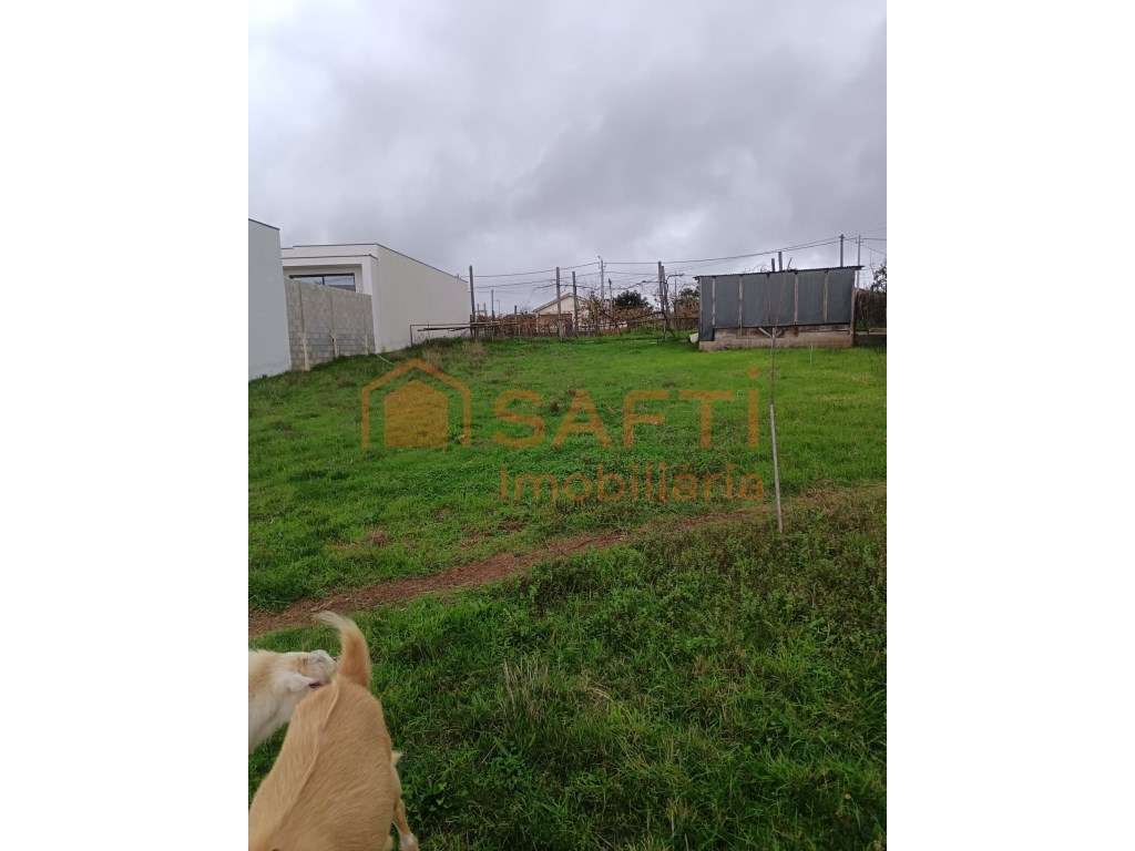 Terreno Urbano Em Albergaria-a-Velha Lote 3 - Grande imagem: 3/4