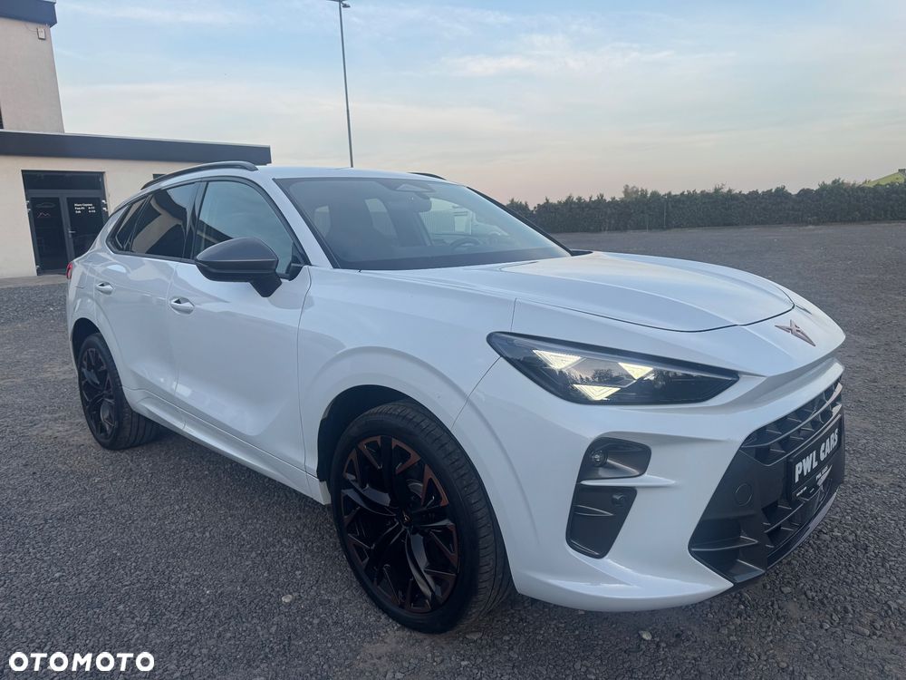 Cupra Terramar - 4