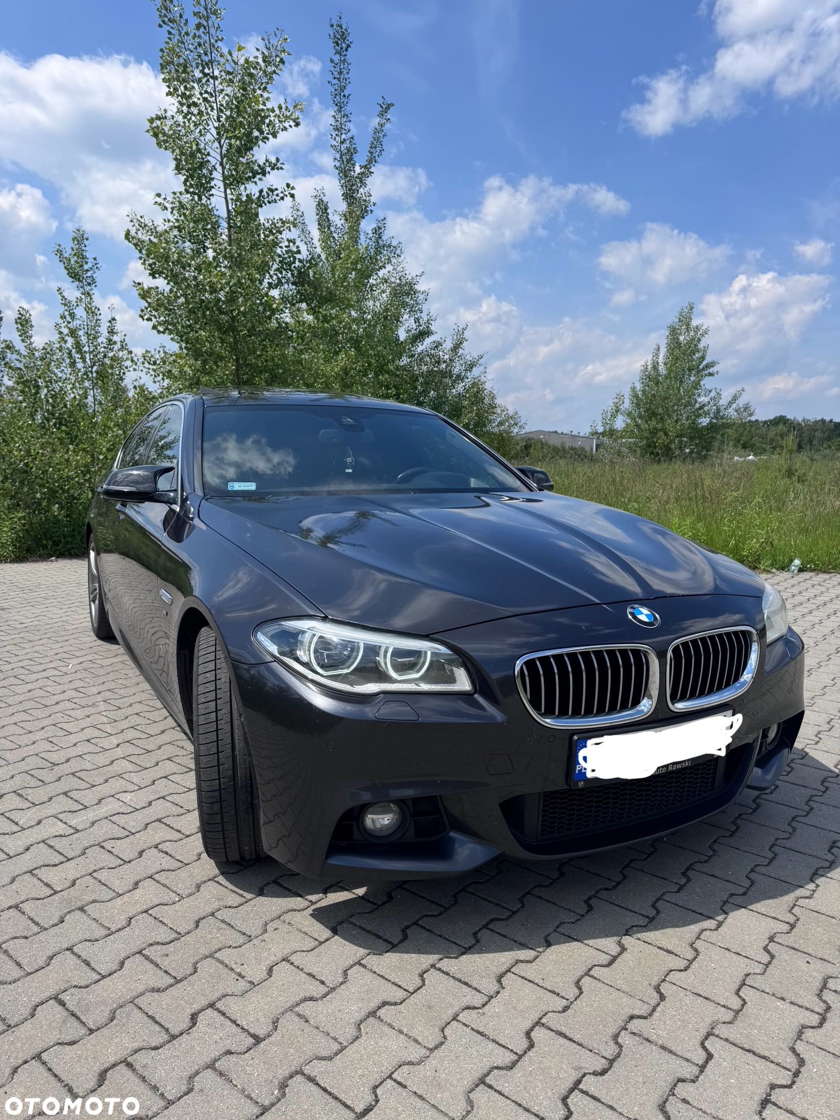 BMW Seria 5 520d xDrive - 7