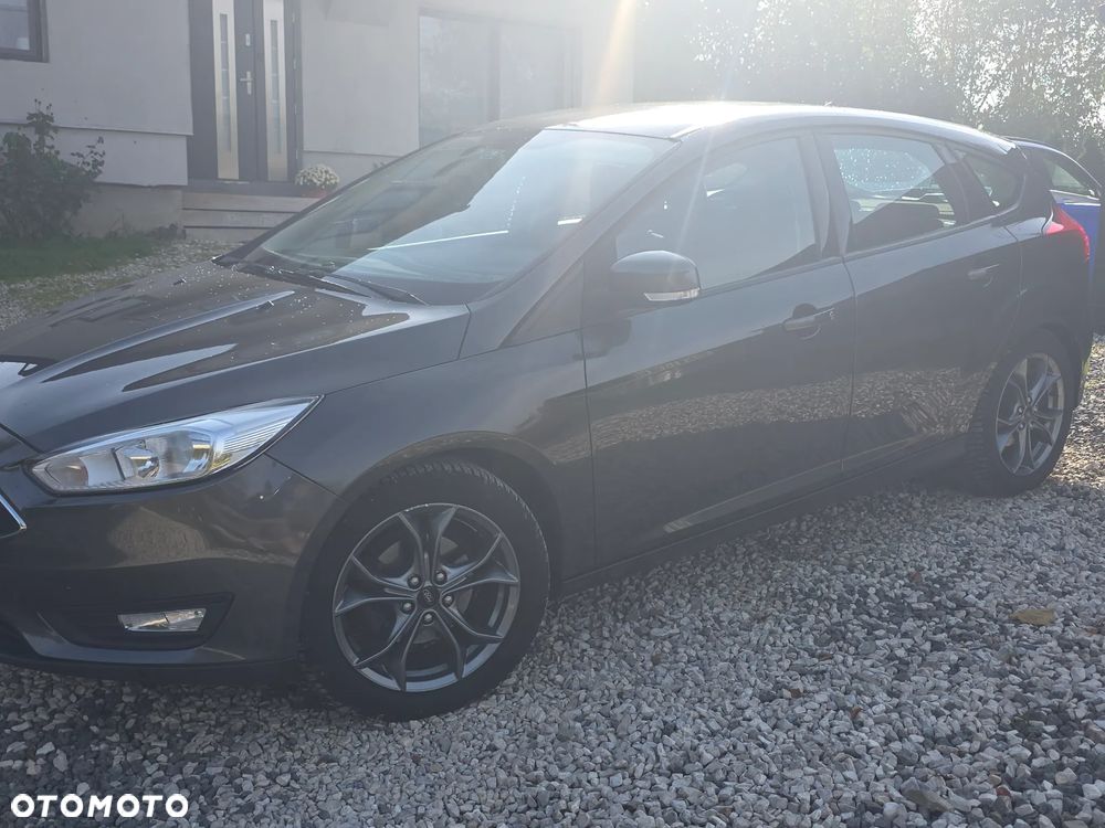 Ford Focus - 6