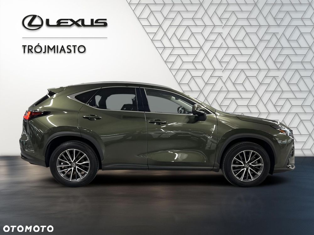 Lexus NX 350h Prestige AWD - 7