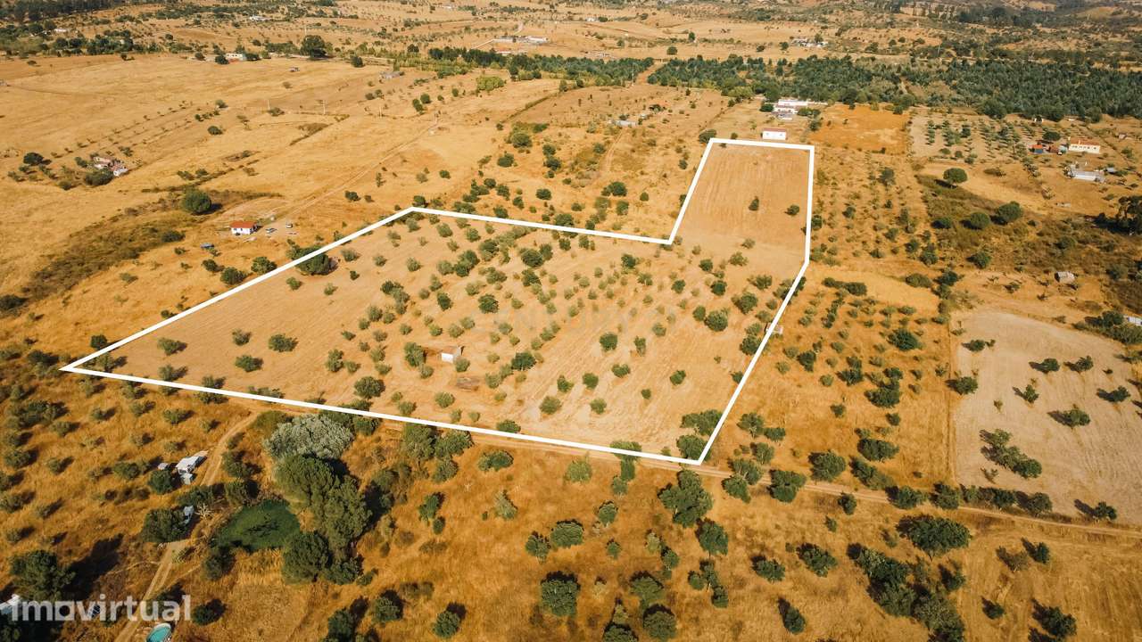Propriedade rústica com potencial agrícola, habitacional e turístico – - Grande imagem: 4/22