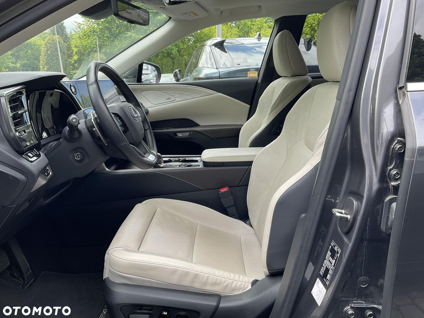 Lexus RX - 10