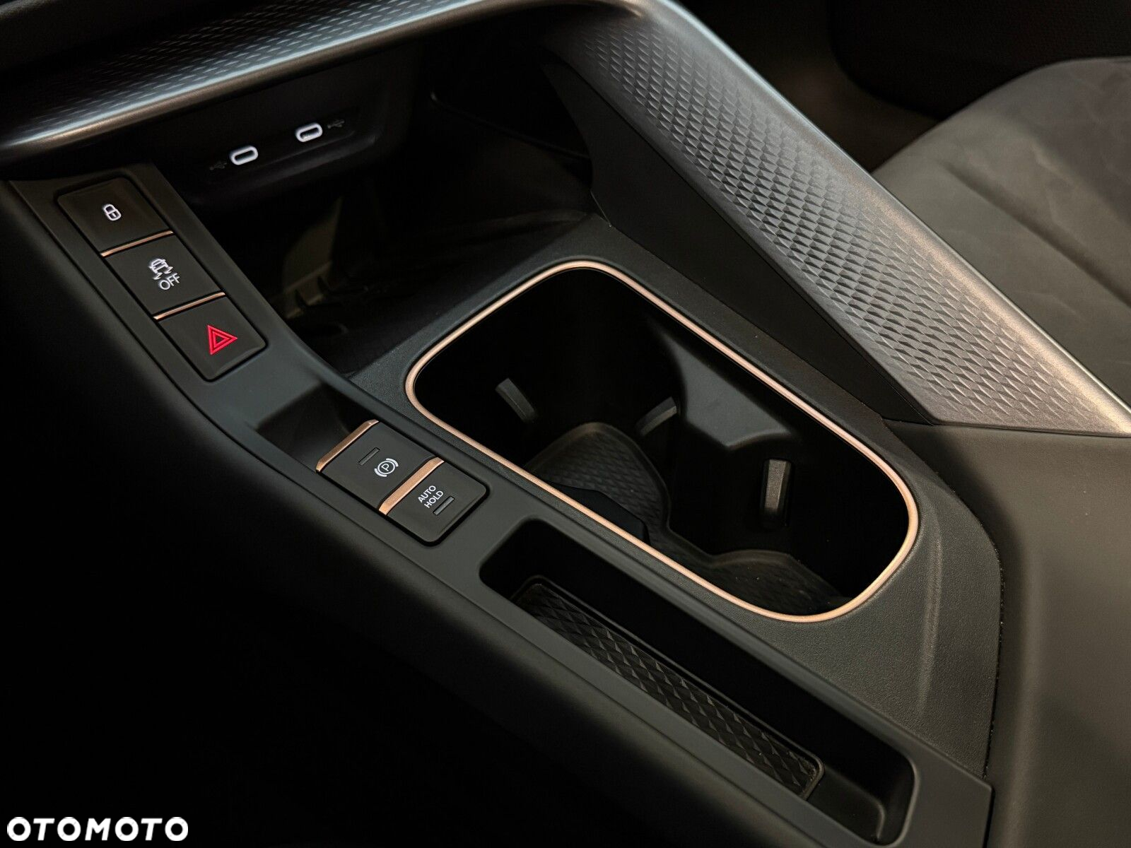 Cupra Terramar 2.0 TSI 4Drive VZ DSG - 32