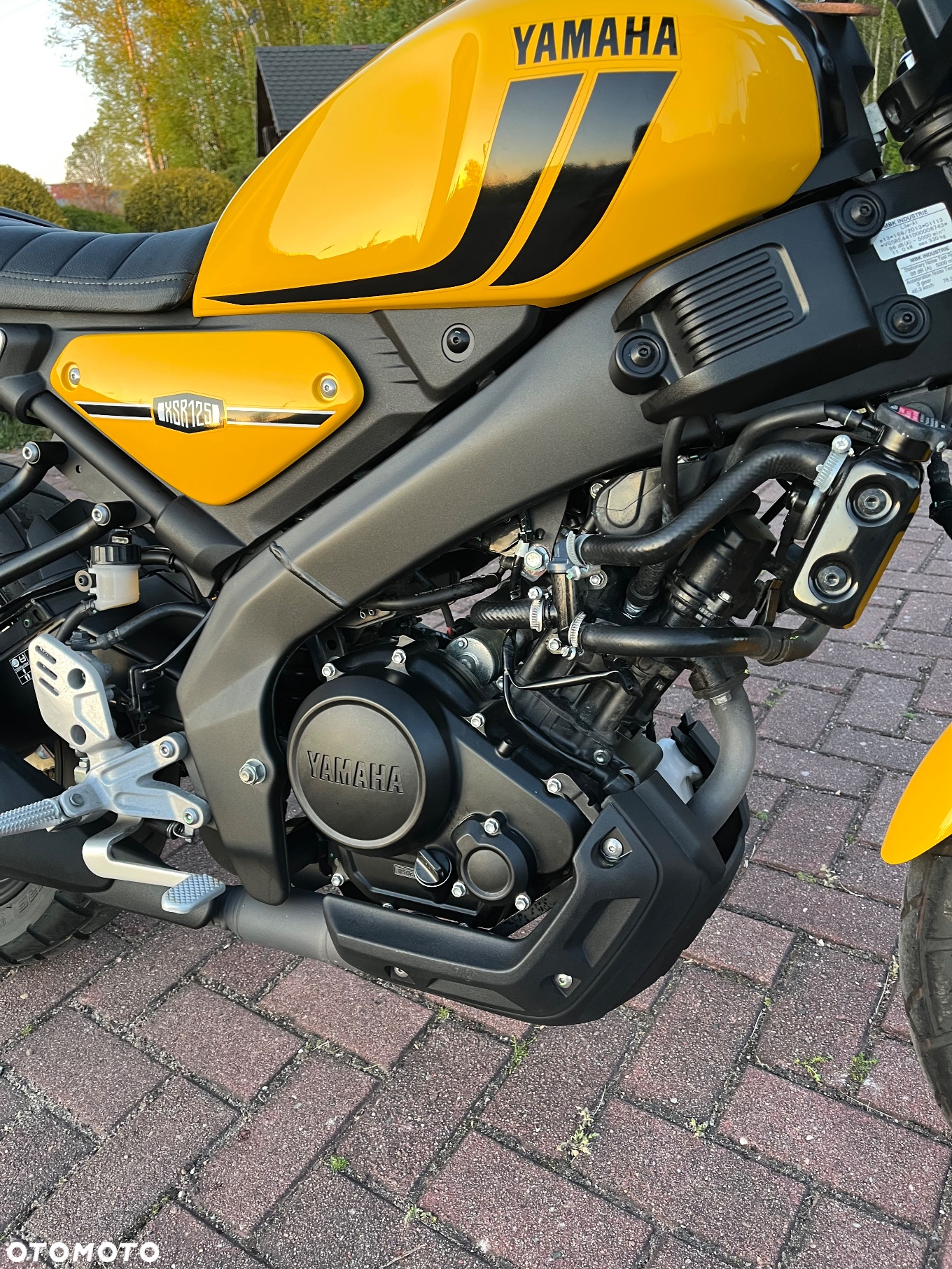 Yamaha XSR - 10