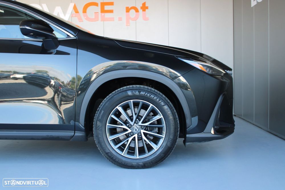 Lexus NX 450h+ Executive - 22