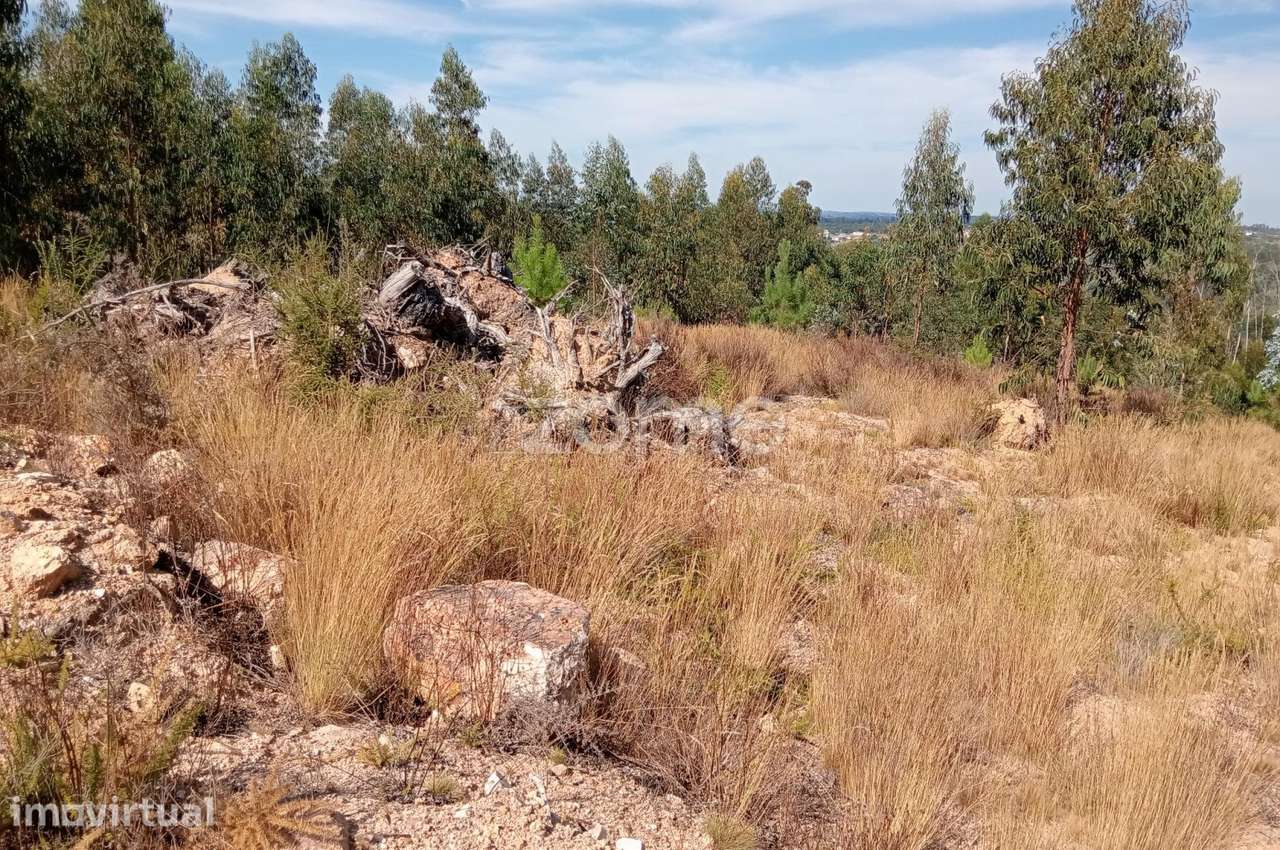 Terreno em Tonda com 2250 m2