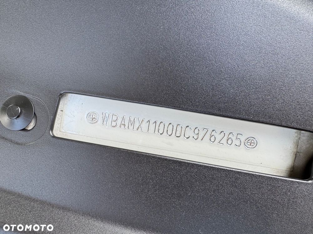 BMW Seria 5 520d Blue Performance - 19