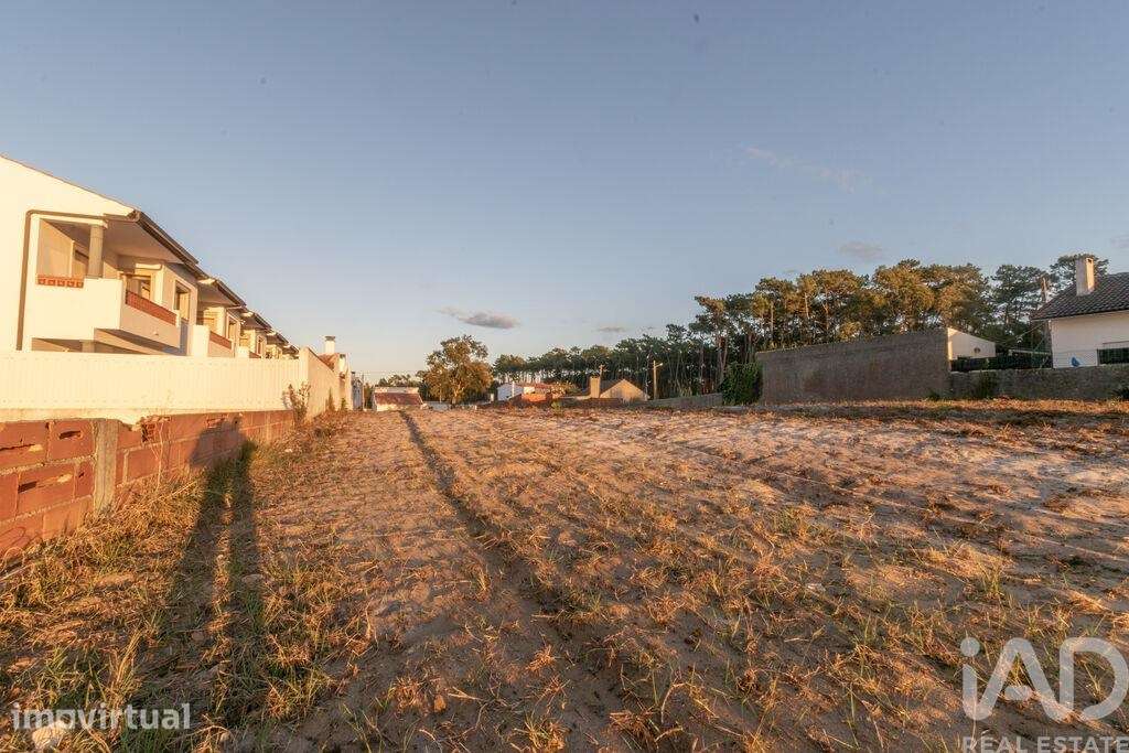 Terreno Agrícola em Marinha Grande - Grande imagem: 3/6