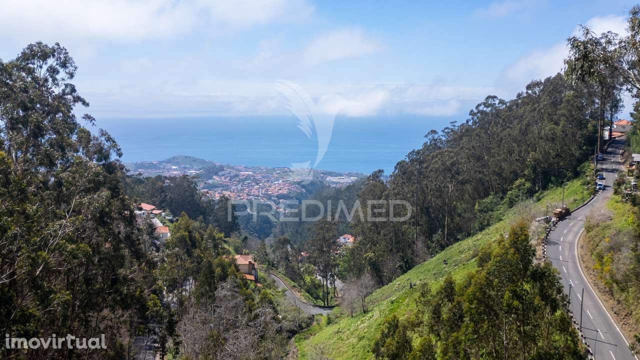 Terreno rústico numa zona verdejante com vista mar - Grande imagem: 4/13
