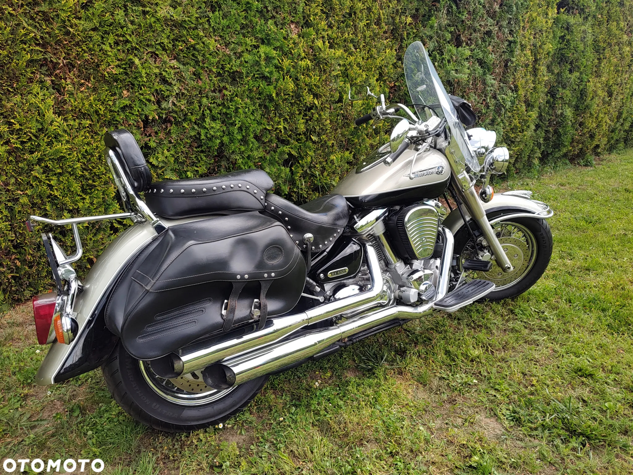 Yamaha Wild star - 4
