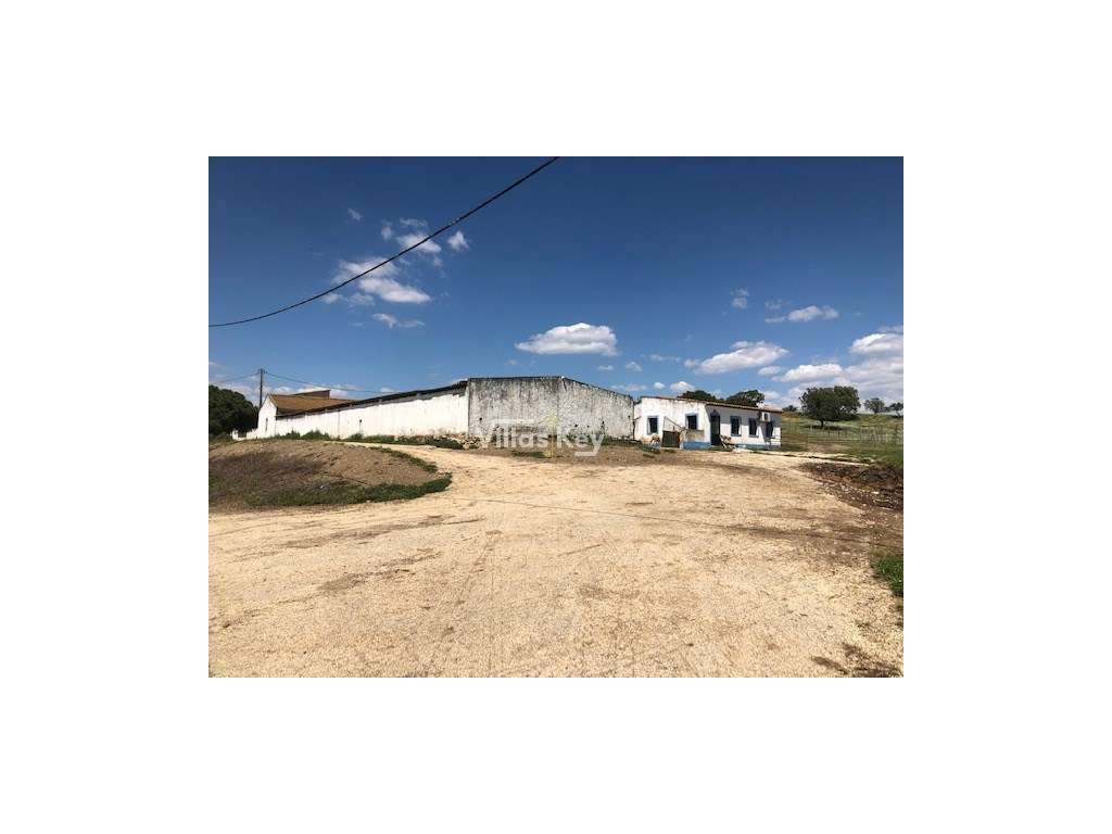 Quinta apta para cultivo e construções turísticas ou rurais a 15km ... - Grande imagem: 4/11