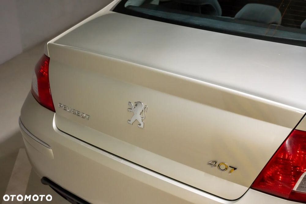Peugeot 407 - 8