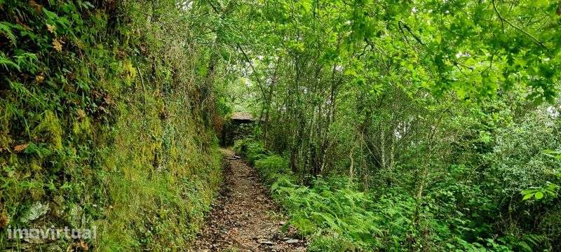 2 casas em pedra, xisto e lousa em ambiente natural - Grande imagem: 5/6