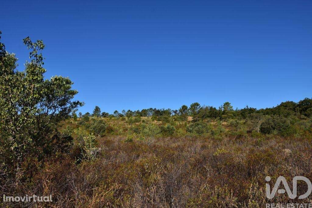 Terreno em Areias e Pias de 17000,00 m2 - Grande imagem: 2/26