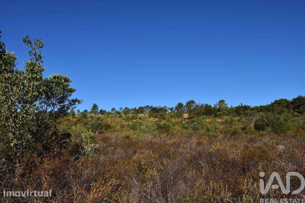 Terreno em Areias e Pias de 17000,00 m2 - Grande imagem: 2/26