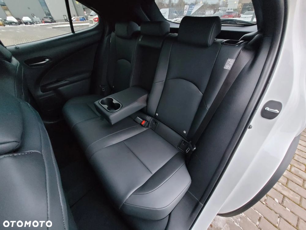 Lexus UX 250h GPF F Sport Design+ 2WD - 12