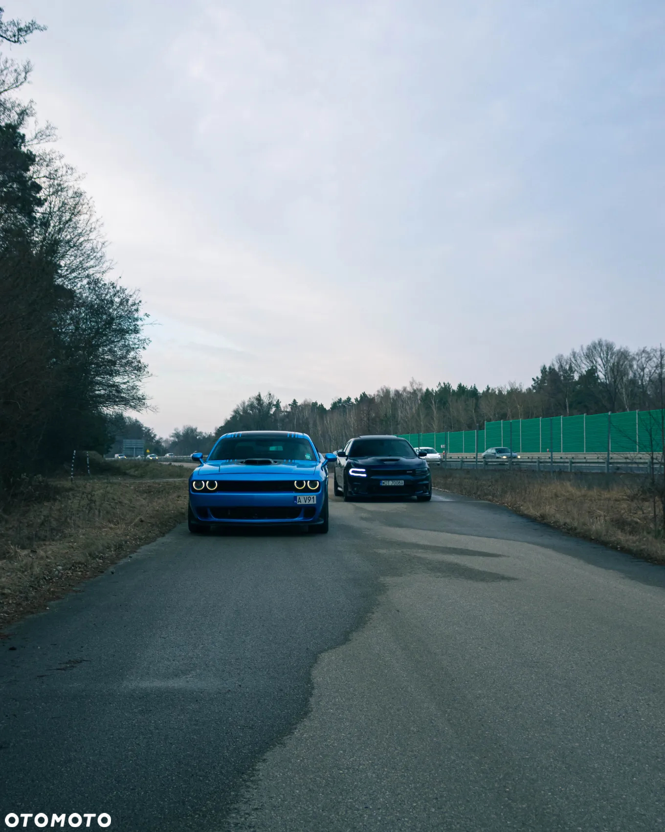 Dodge Challenger Automatik R/T Plus Shaker - 36
