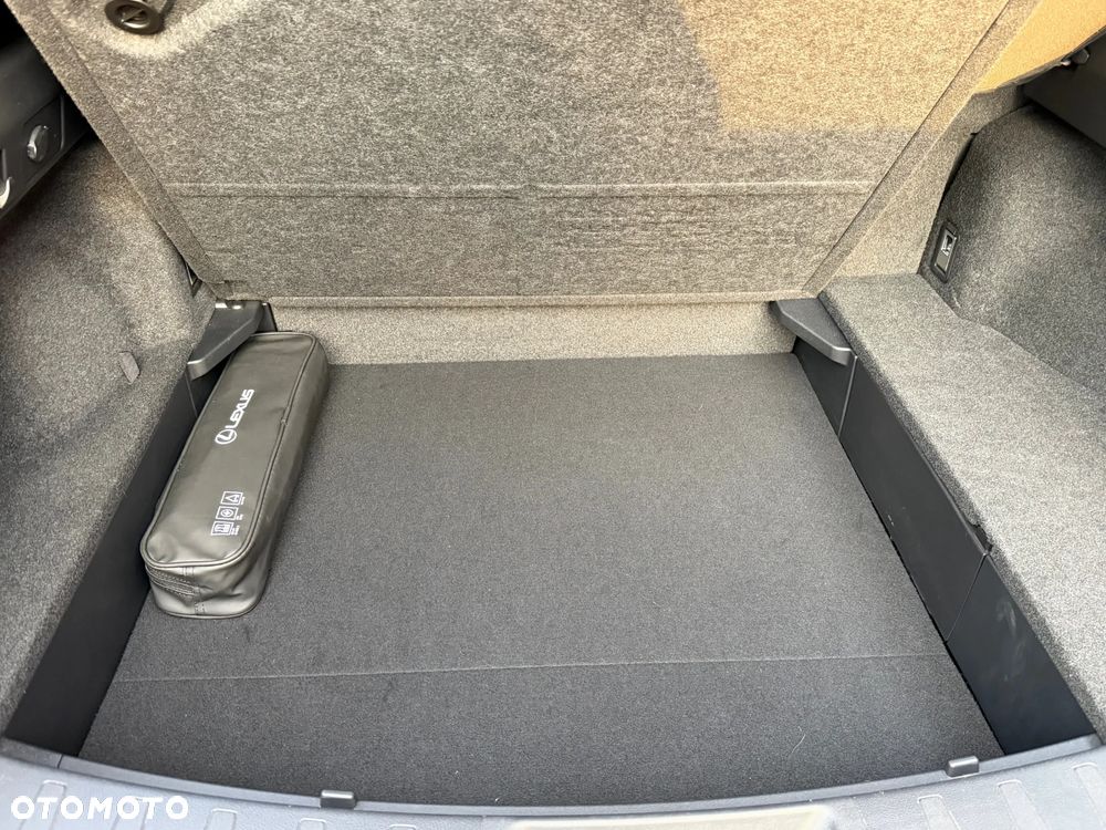 Lexus UX 250h F Sport 2WD - 18