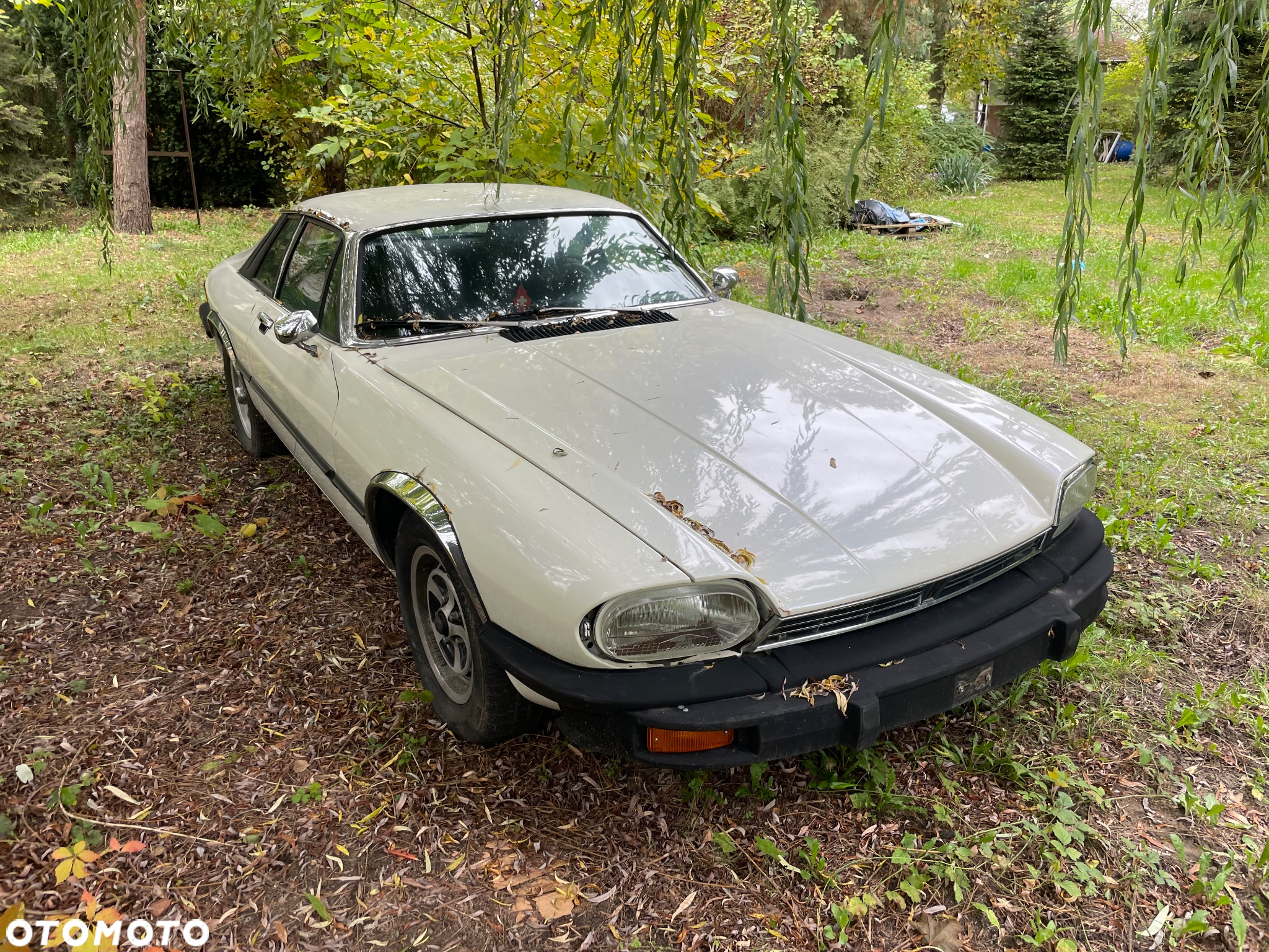 Jaguar XJS - 4