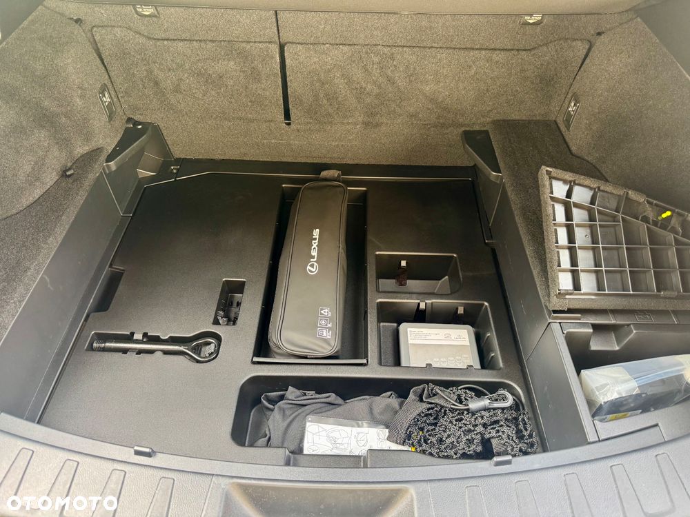 Lexus UX 250h F Sport 2WD - 30