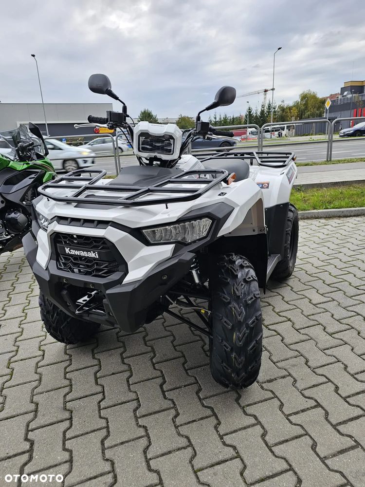 Kawasaki Brute Force