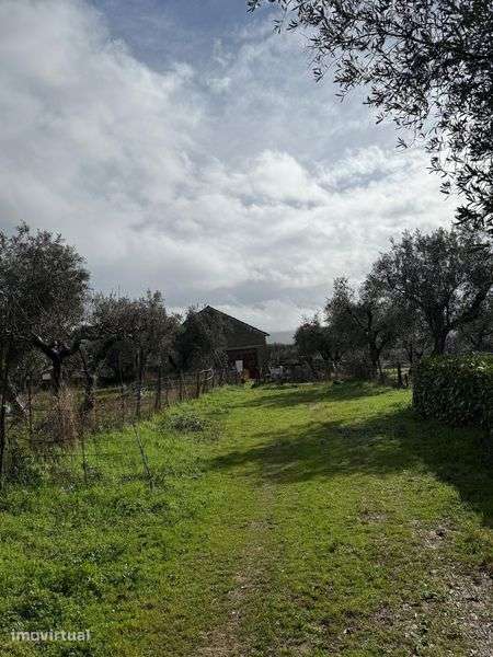 Moradia T4 c/Garagem e terreno com Armazém - Grande imagem: 5/5