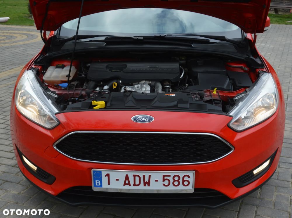 Ford Focus - 12