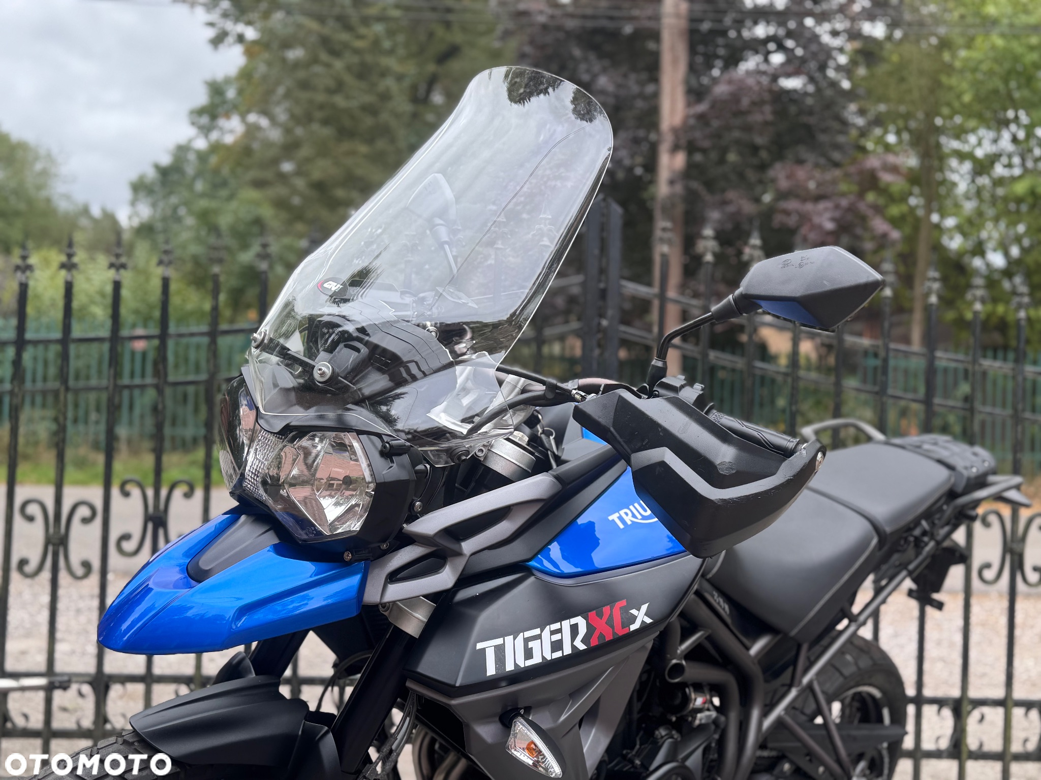 Triumph Tiger - 18