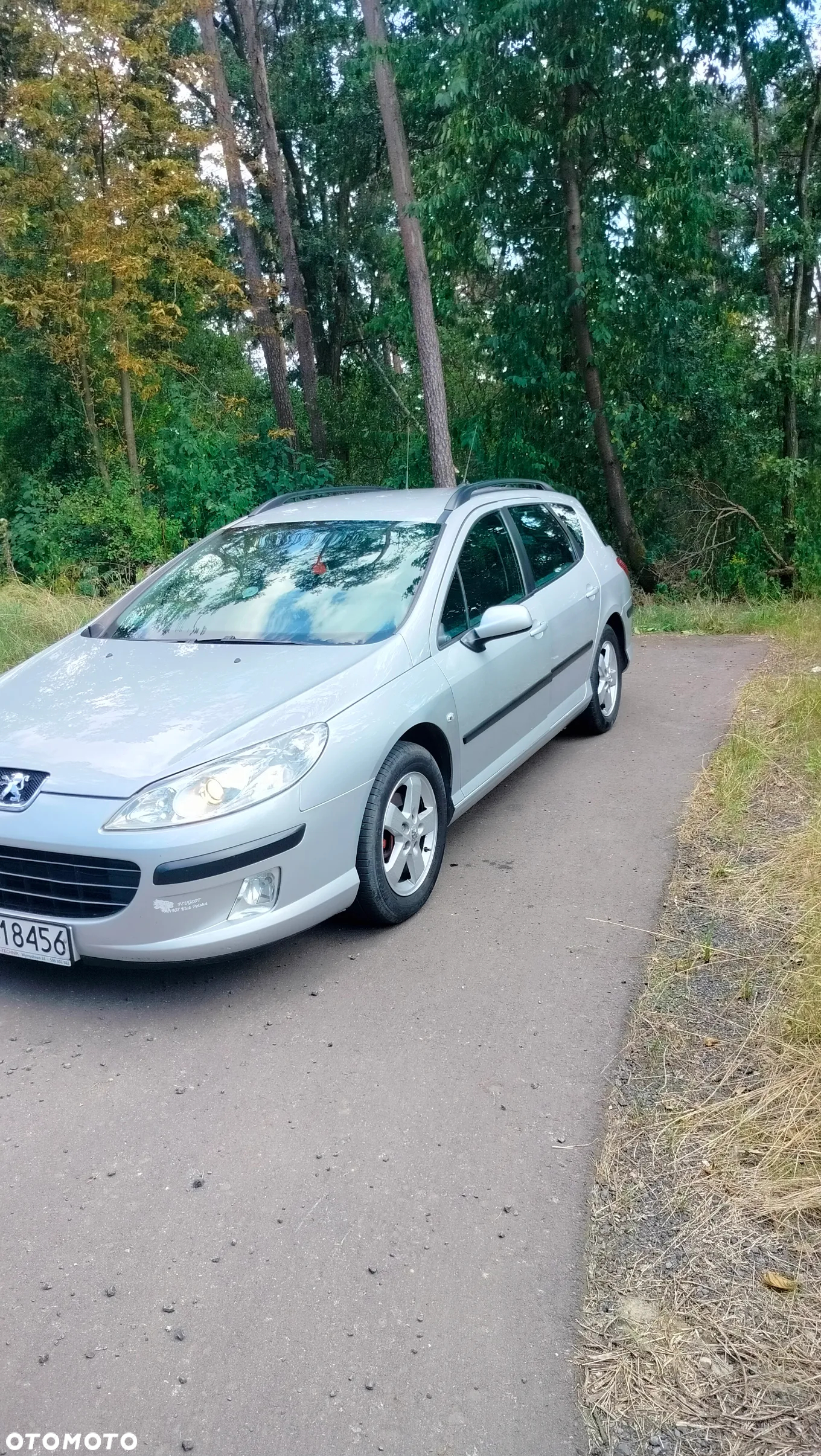 Peugeot 407 1.6 HDI Premium - 2