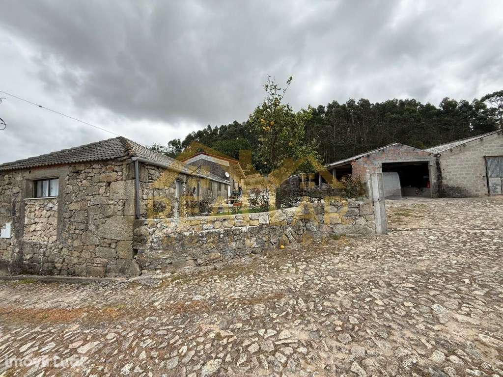 Terreno Agrícola com Benfeitorias - Grande imagem: 2/23