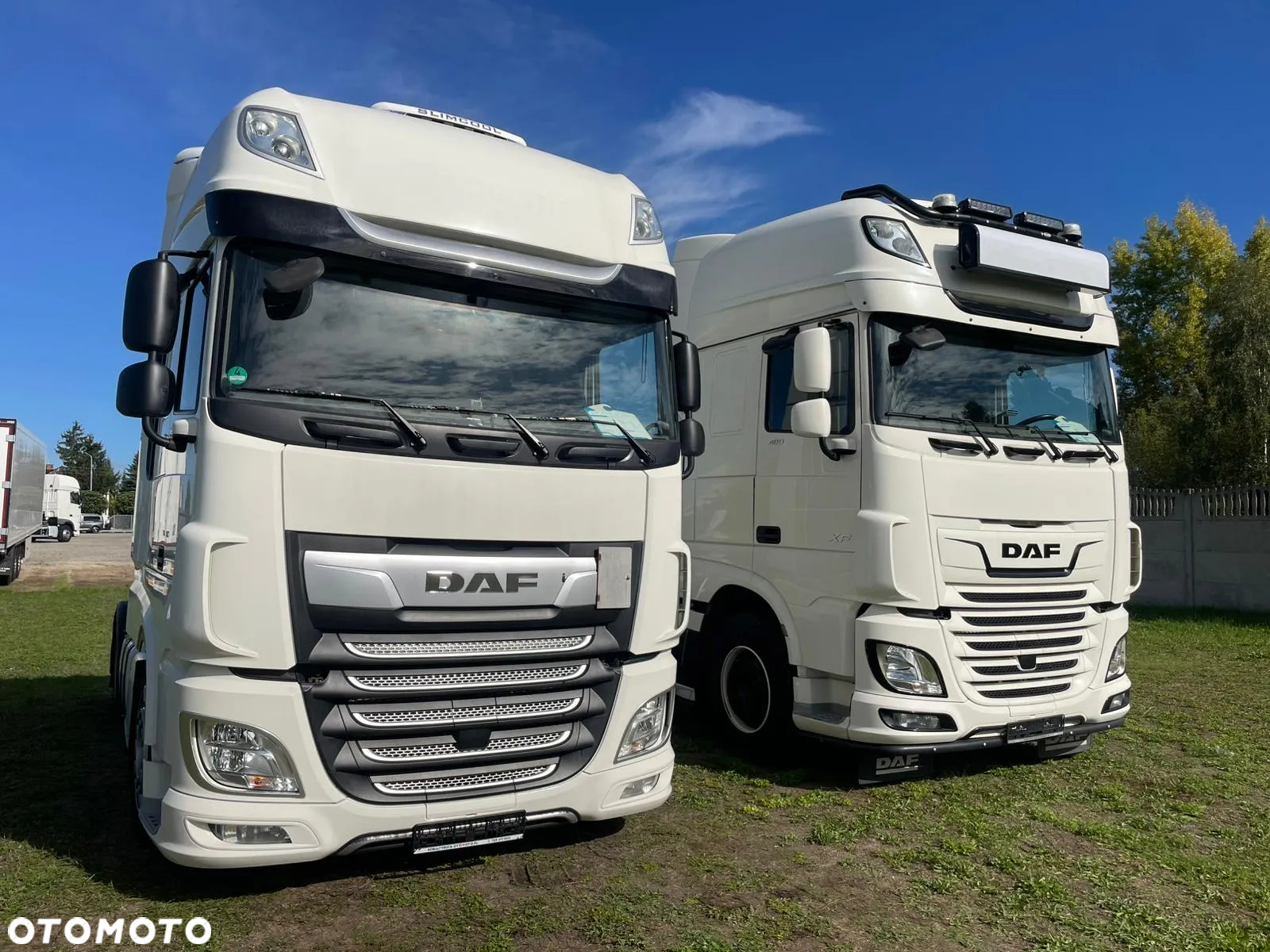DAF - 8