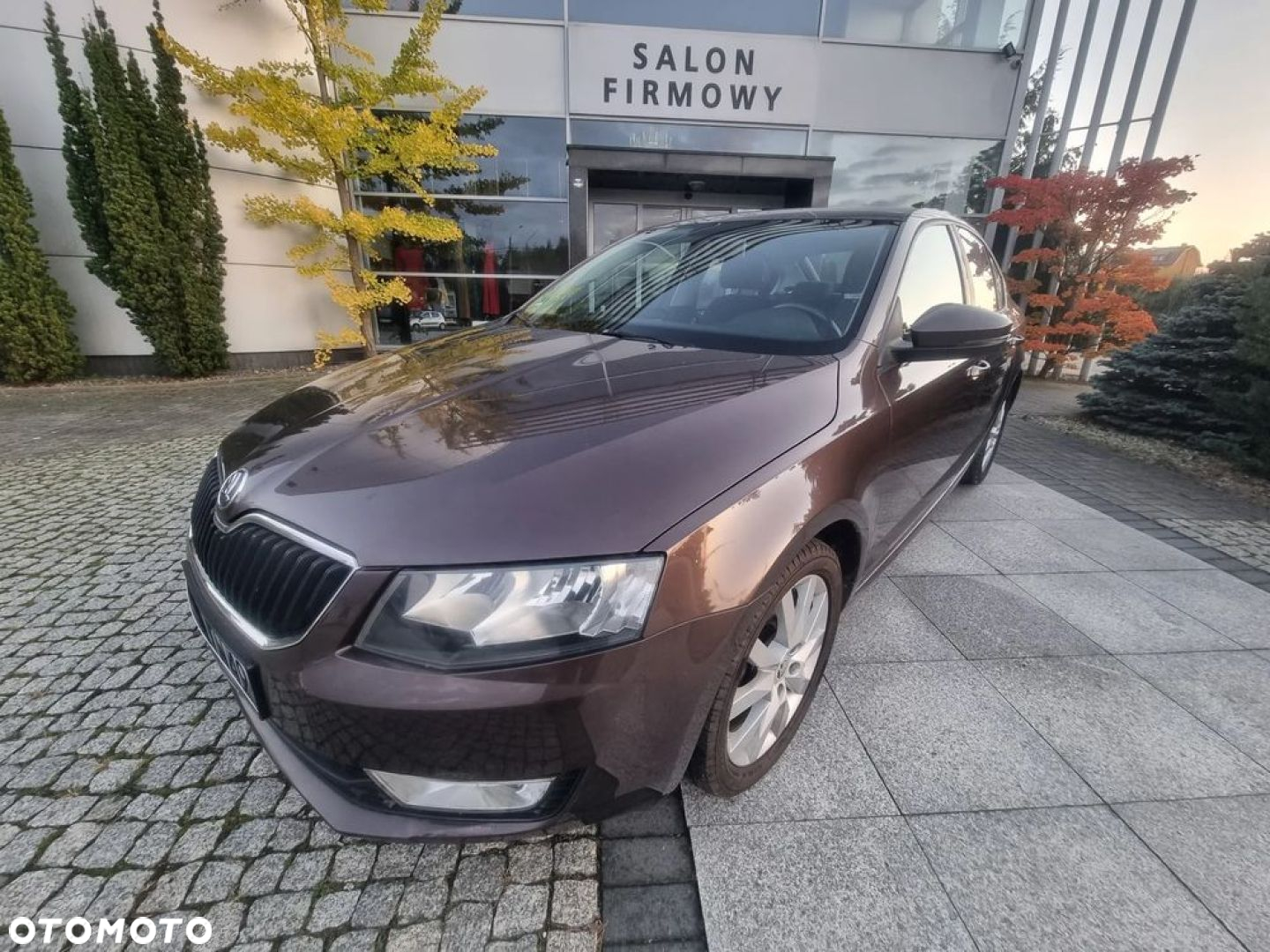 Skoda Octavia 1.6 TDI Elegance - 29