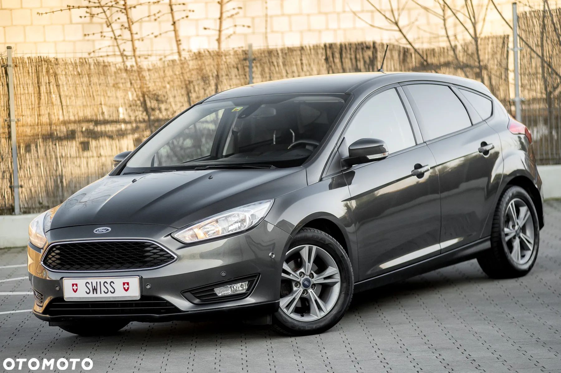 Ford Focus - 1