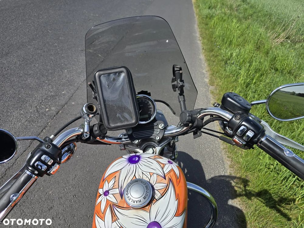 Harley-Davidson Sportster Roadster 883R - 7