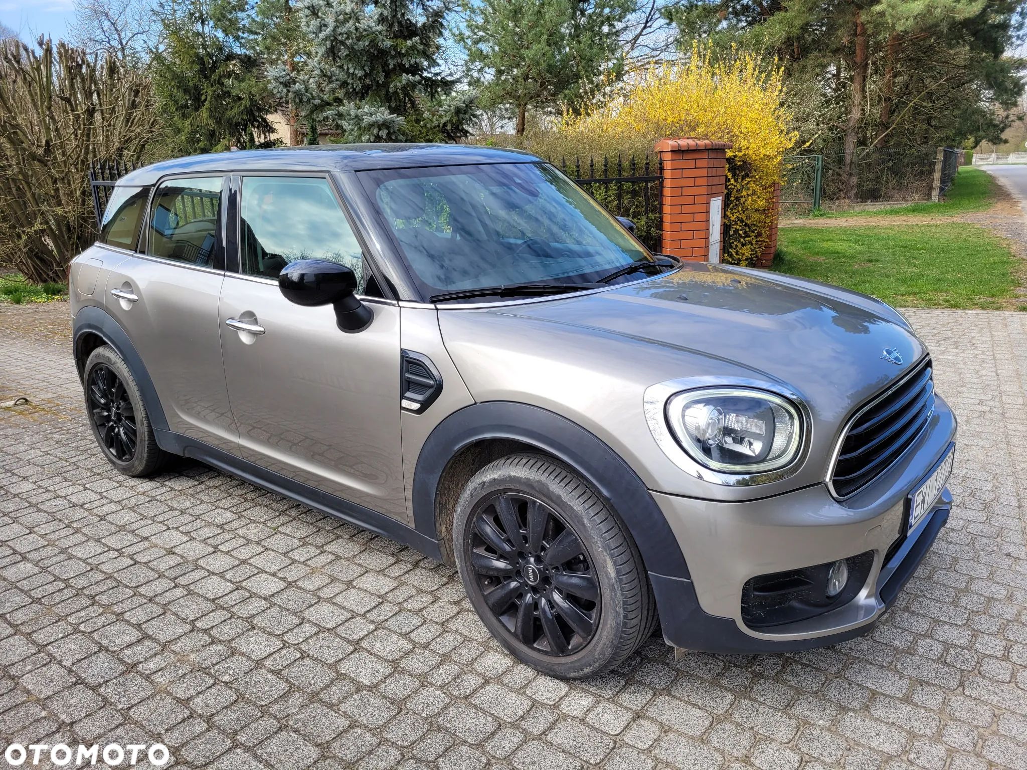 MINI Countryman Cooper D - 1