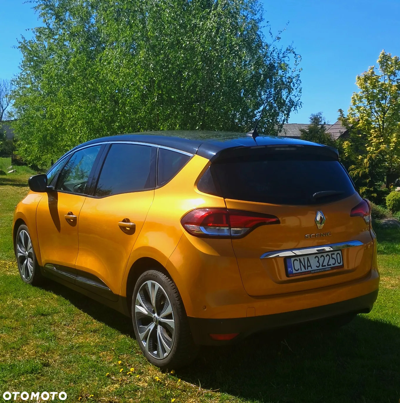 Renault Scenic - 7