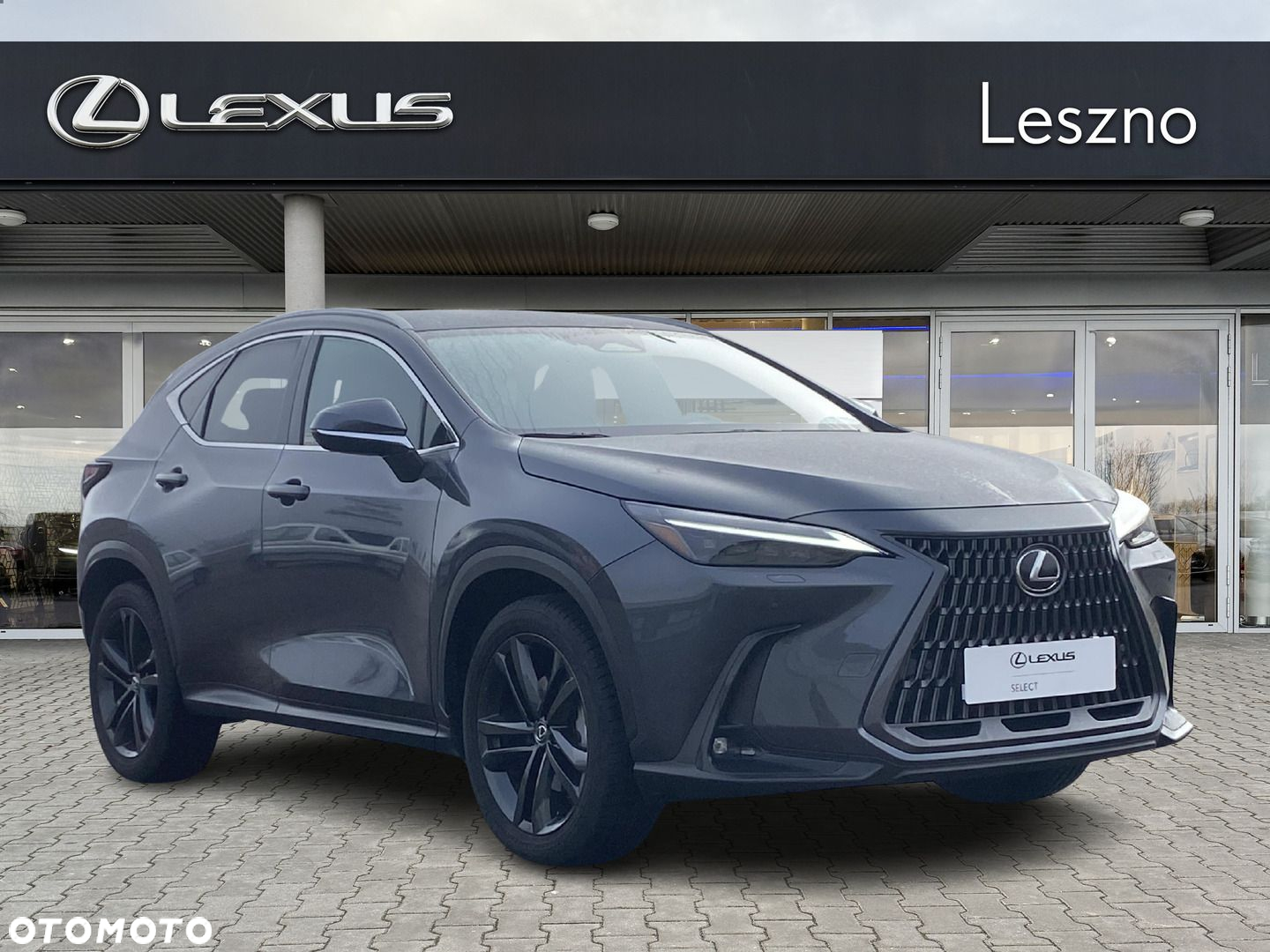 Lexus NX - 5
