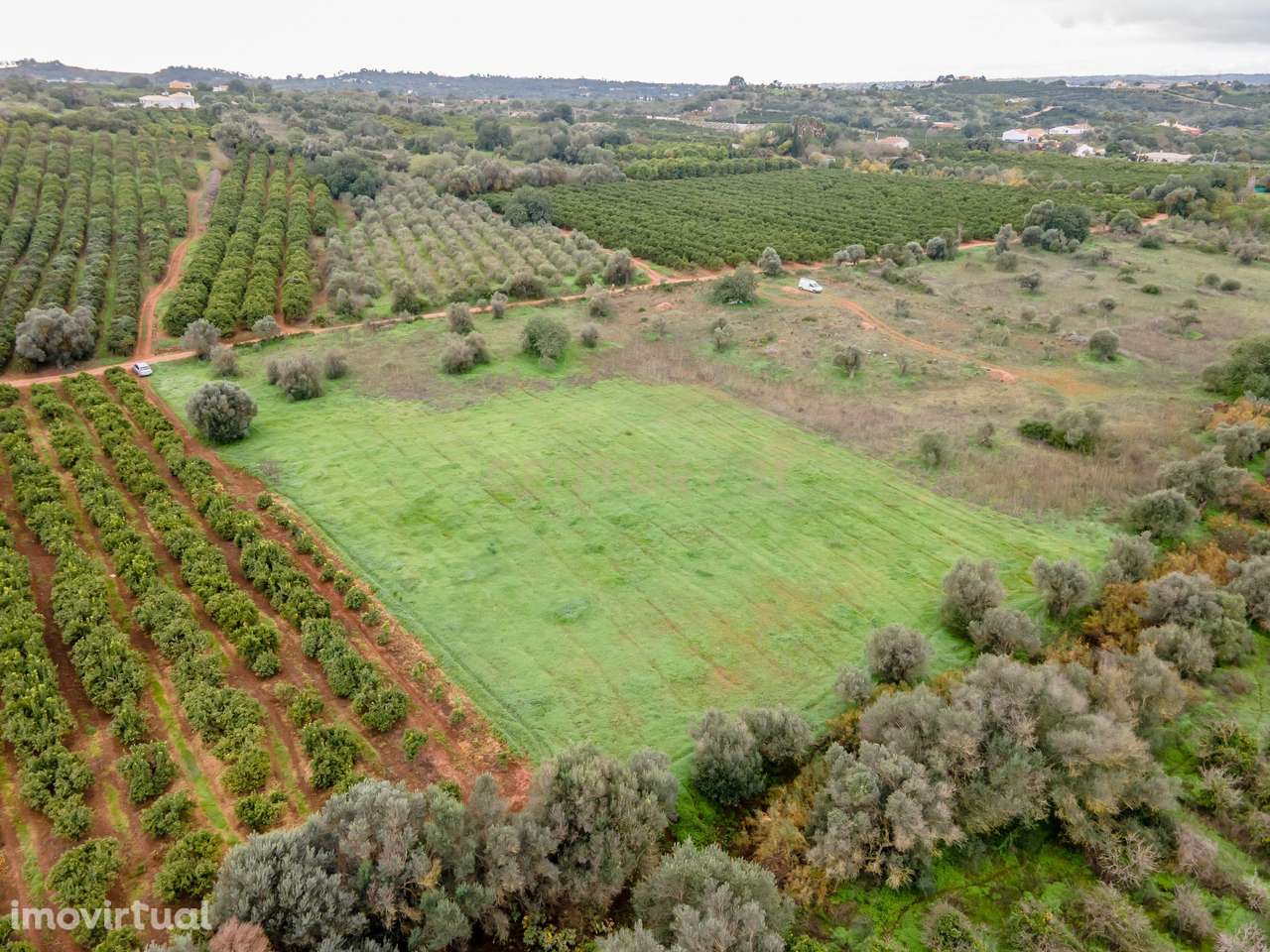 Terreno rústico | 6.960m2 | Castelos -Algoz - Grande imagem: 5/11