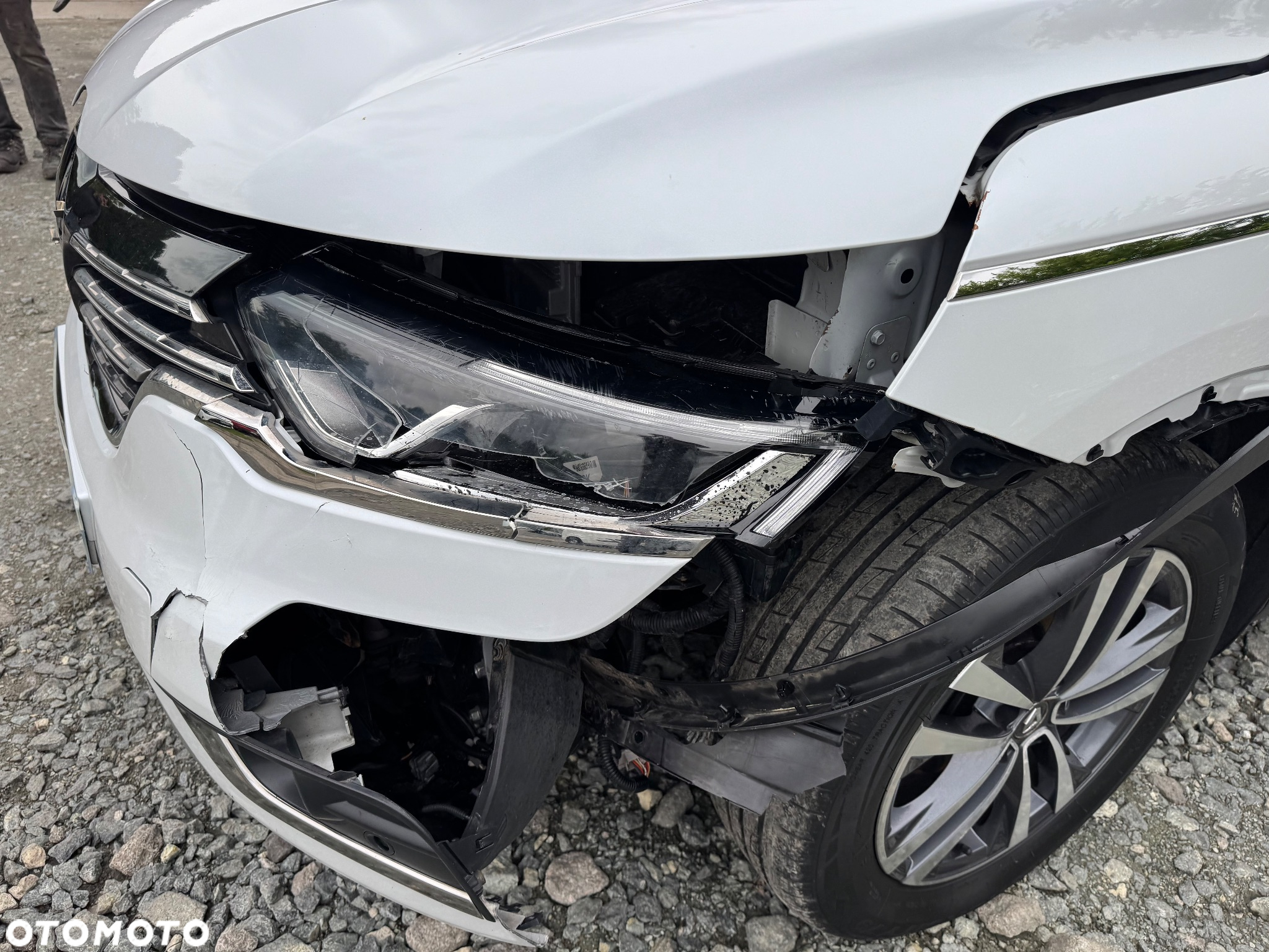 Renault Koleos 1.6 dCi Intens - 32