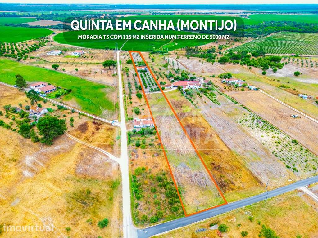 Quinta - Moradia T3 - Canha (Montijo) - 9000 m2 - Grande imagem: 2/56