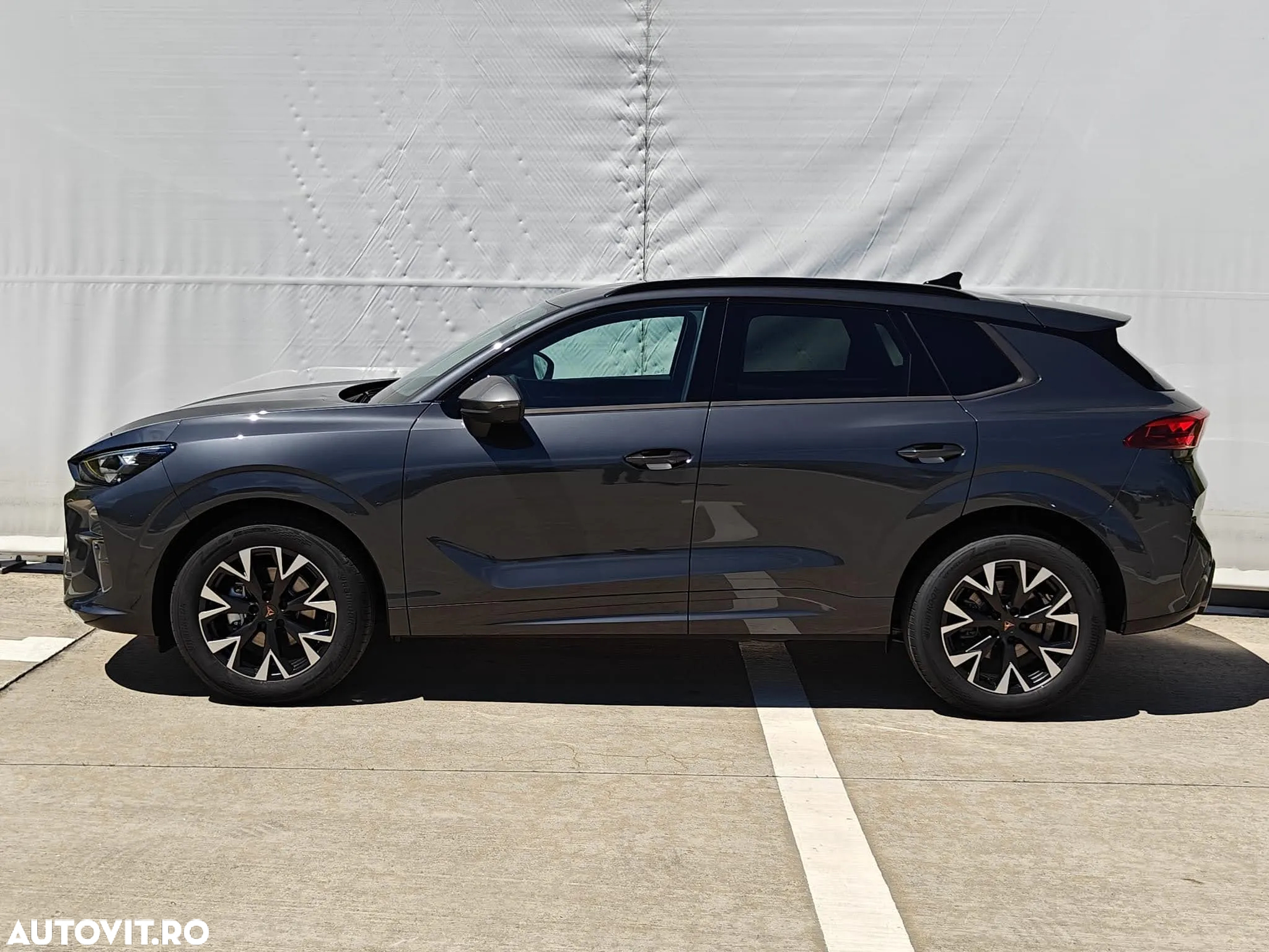 Cupra Terramar - 2